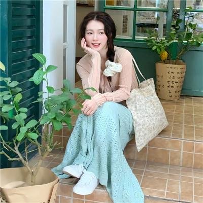 狮子军龙虎鬪